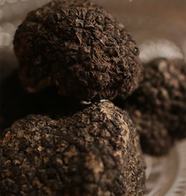 トリュフの写真